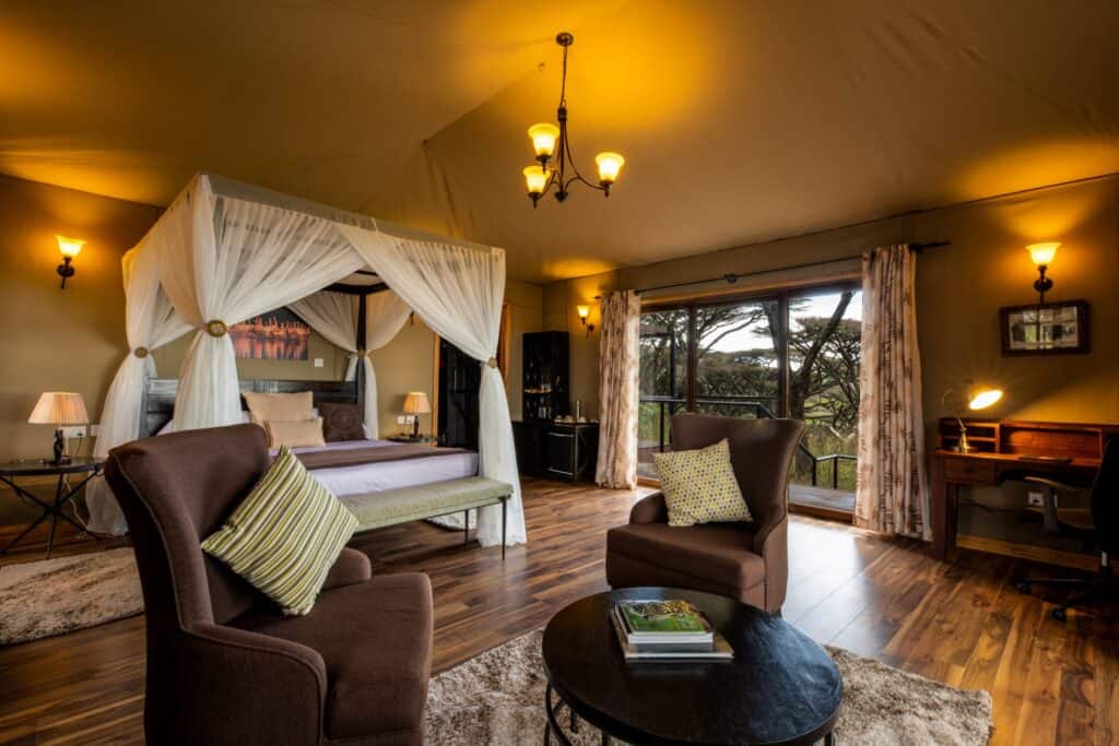 Ngorongoro Lions Paw