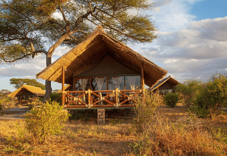 Tarangire Simba Lodge