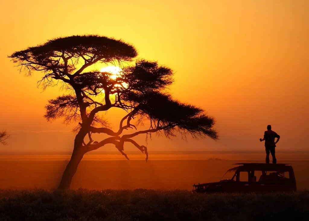 Tanzania Safari Experience