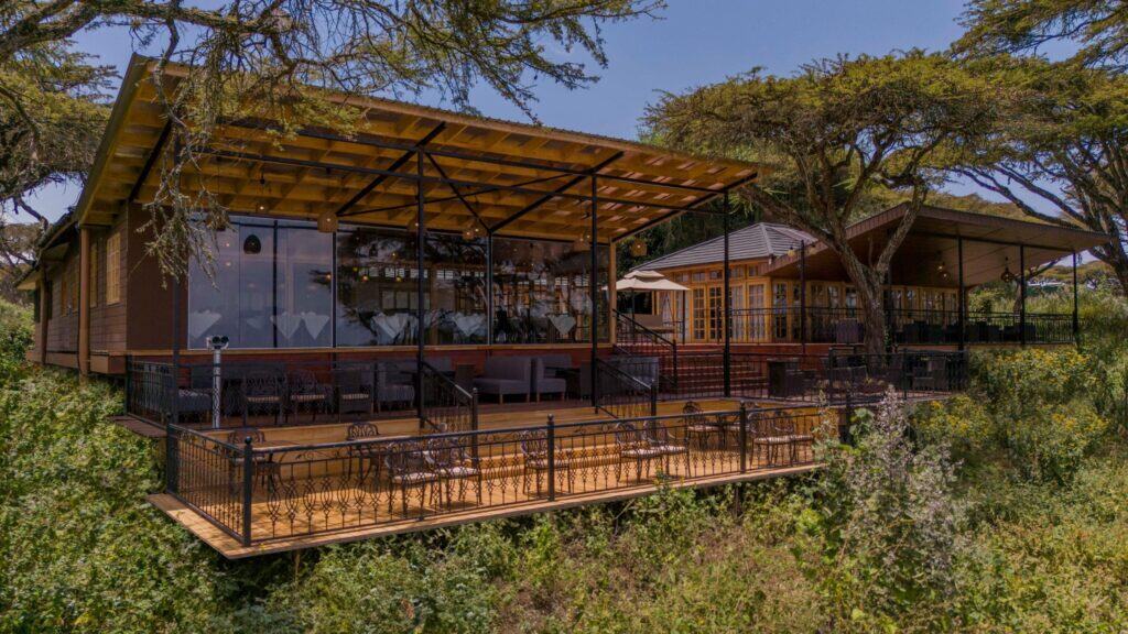 Ngorongoro Lions Paw