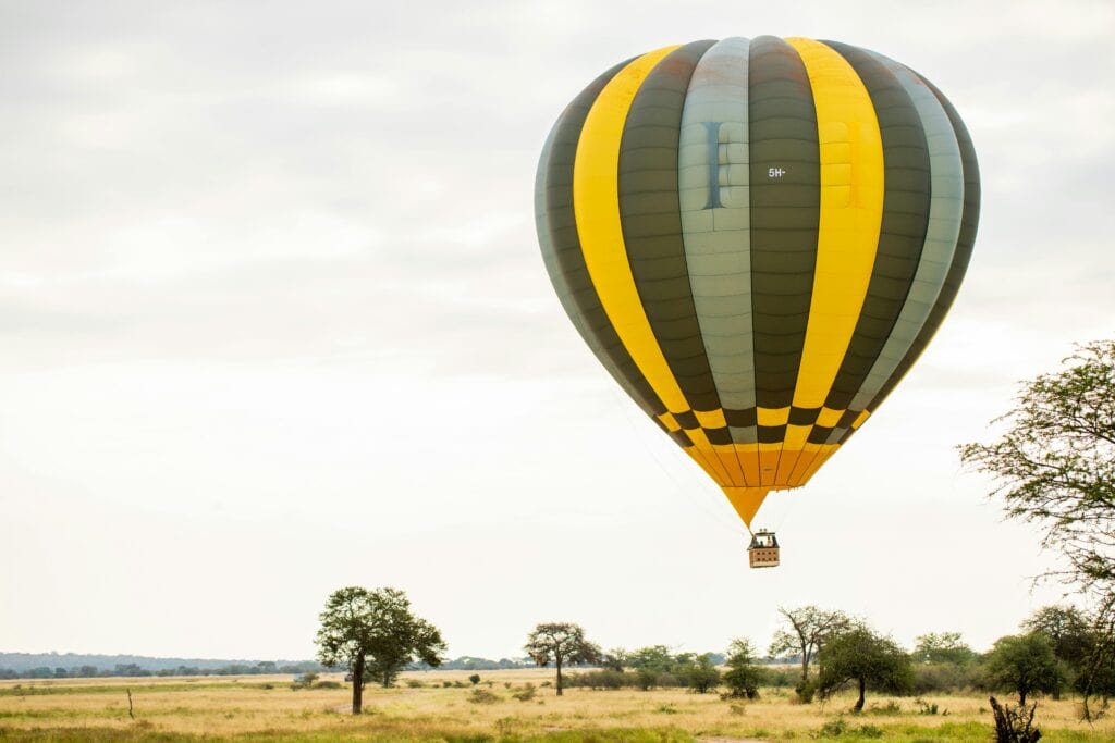 Fly Over the Serengeti