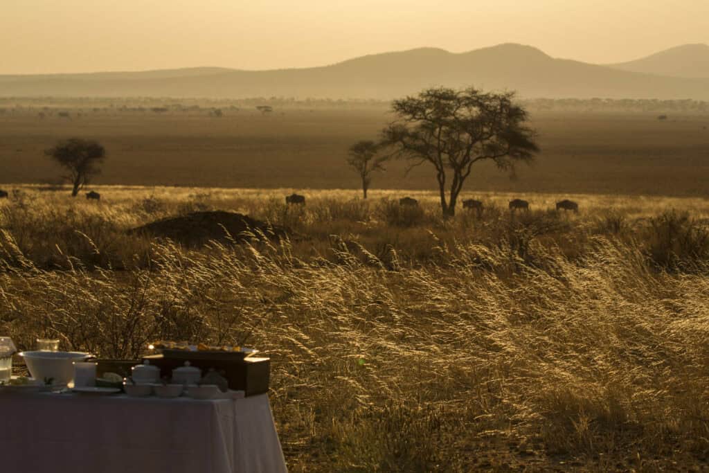 Classic Safari Adventure
