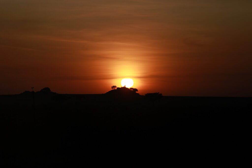 Safari vehicle watching a lion pride at sunrise in the Serengeti