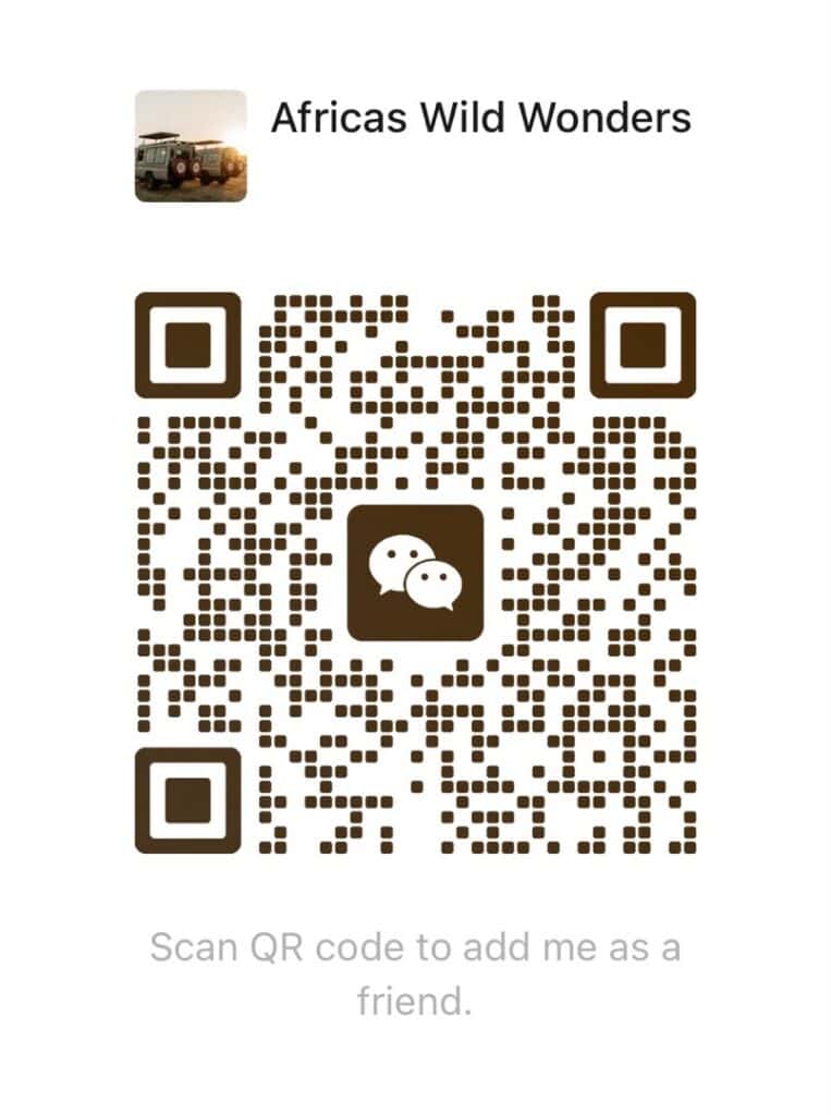 Scan QR code to connect with Africa's Wild Wonders on WeChat